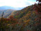 Fall Leaves - Wayah Bald by C2 in Views in North Carolina & Tennessee