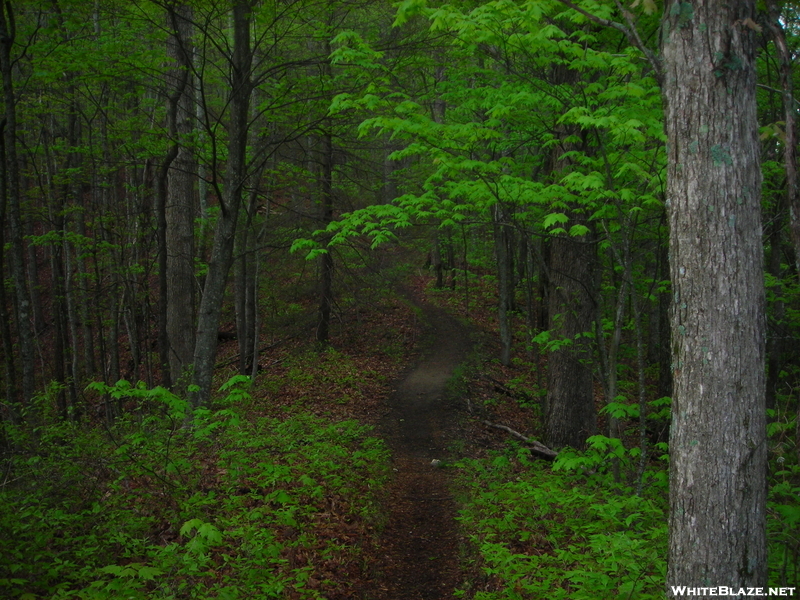 Entering Gsmnp