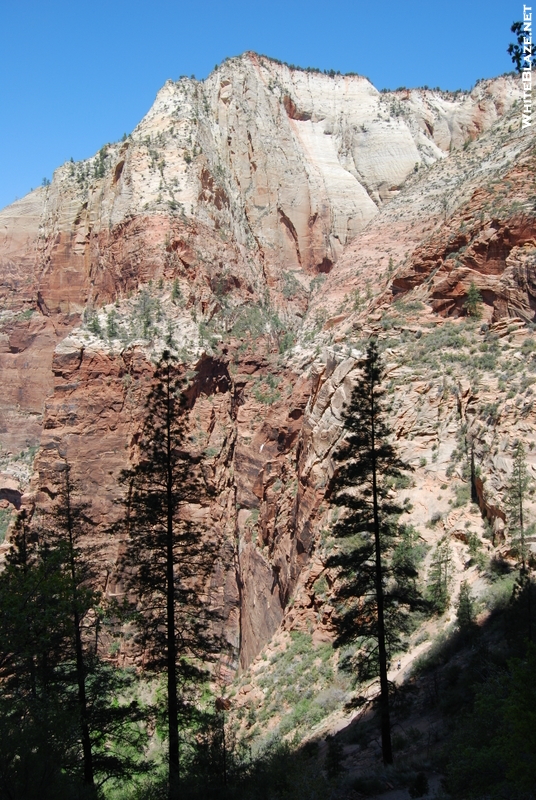 Utah, Zion, Dixie National Forest