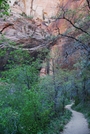 Utah, Zion, Dixie National Forest