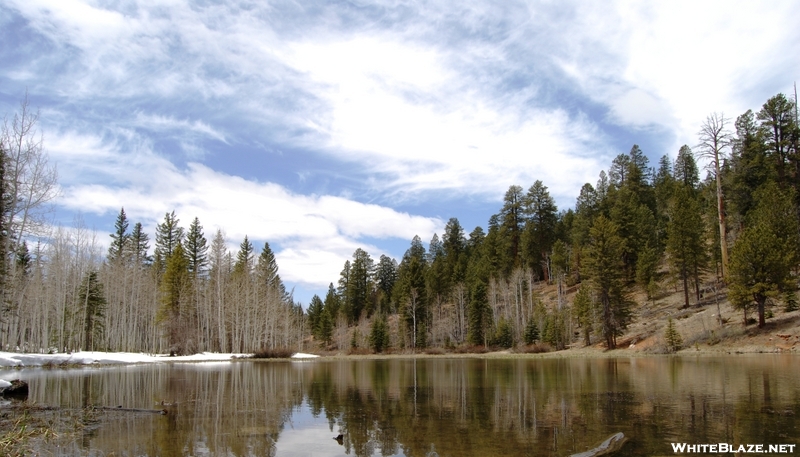 Utah, Zion, Dixie National Forest