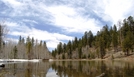 Utah, Zion, Dixie National Forest