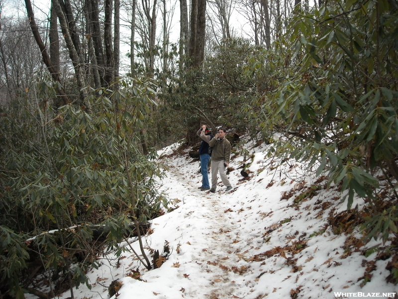 Lemon Gap To Max Patch