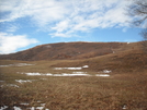 Lemon Gap To Max Patch