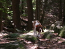 Eli On The Trail. by river1 in Section Hikers