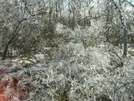 Ice On The At In Ny by river1 in Section Hikers