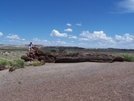 Mtt37849 Hiking In Petrified Forest