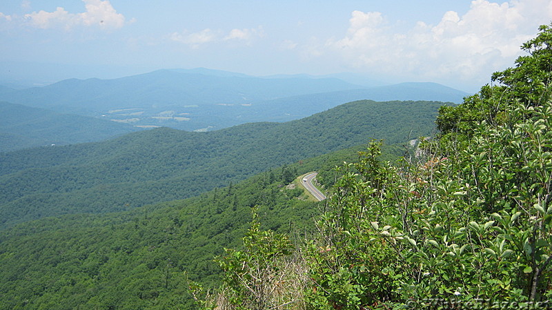 Shenandoah