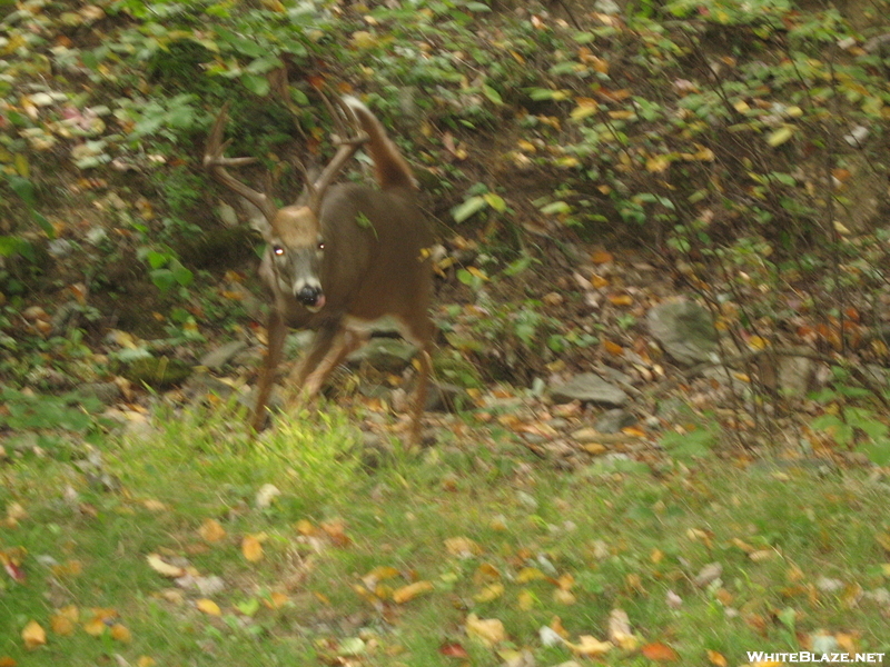 Charging Buck