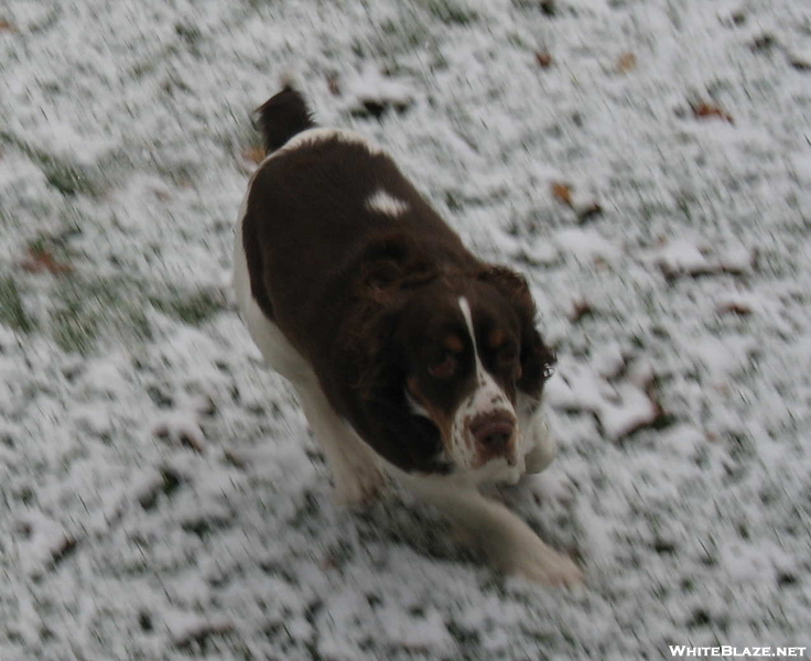 First Snow