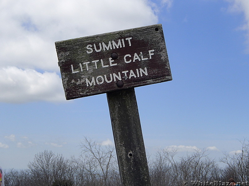 Little Calf Mountain, SNP