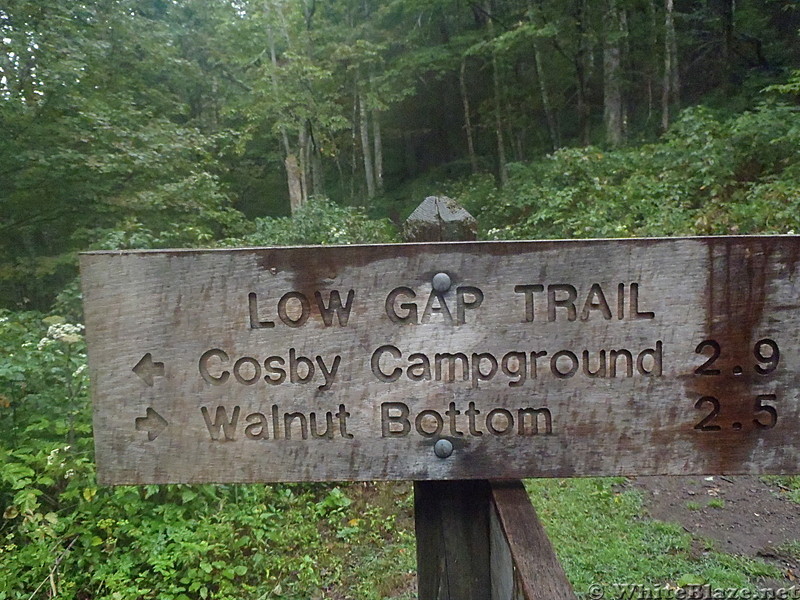 Low Gap Trail/ AT 