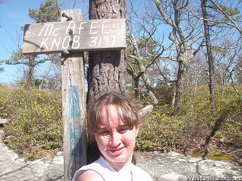 Chaton at McAfee Knob