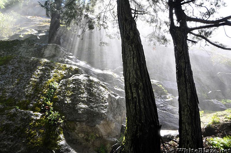 Sun beams light up the forest