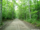 Hogan Road by shades of blue in Trail & Blazes in New Hampshire