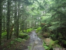 Mt. Collins, GSMNP by shades of blue in Trail & Blazes in North Carolina & Tennessee