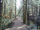 Trail at Caledonia State Park, PA by shades of blue in Trail & Blazes in Maryland & Pennsylvania