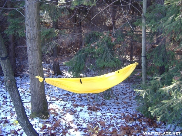 camping/hammock's