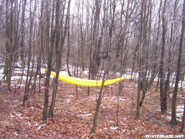 camping/ hammock