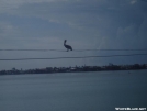 Key West north to Loop Rd, FT southern terminus