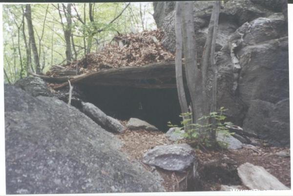 Unknown Shelter???