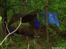 BMT-Hammock tucked in the woods...