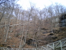 Amicalola Falls State Park by Tony in Approach Trail