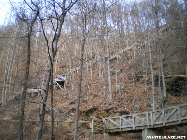 Amicalola Falls State Park