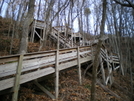 Amicalola Falls State Park by Tony in Approach Trail