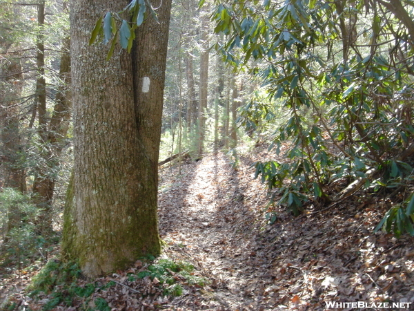 Trail View