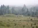 Grayson Highlands by HikerMan36 in Views in Virginia & West Virginia