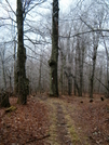 Hoarfrost by HikerMan36 in Trail & Blazes in North Carolina & Tennessee