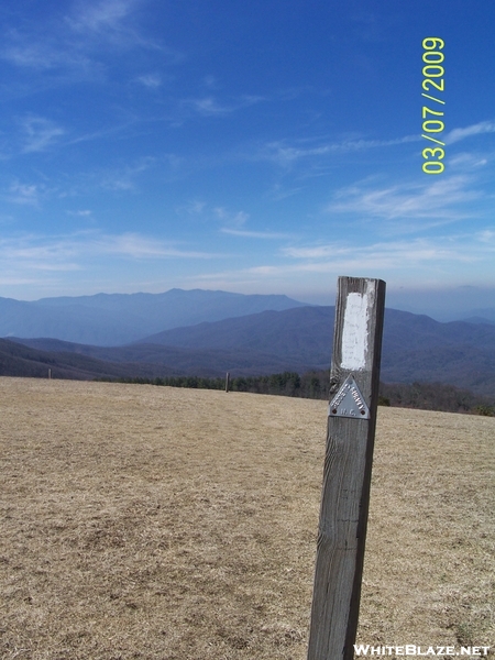 Blaze On Max Patch