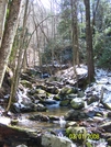 Squibb Creek Trail by HikerMan36 in Views in North Carolina & Tennessee