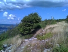 Scenic Route Pics Heading North To Lehigh Gap