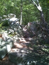 Trail Heading To The Pinnacle From Pulpit Rock ... by darkage in Trail & Blazes in Maryland & Pennsylvania