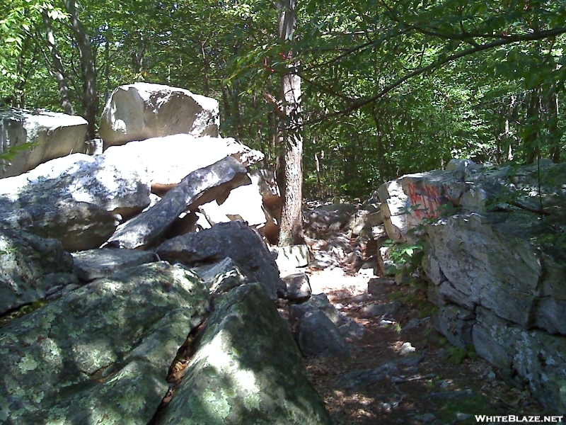 Trail Heading To The Pinnacle From Pulpit Rock ...