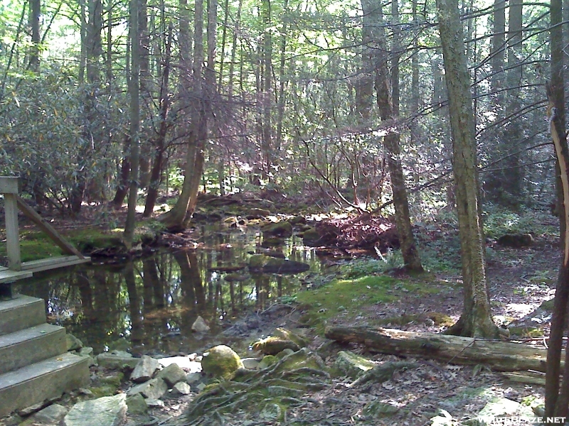 Trail Heading Outta Eckville To Allentown Shelter ... 8-24-08