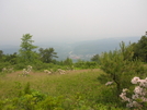 Taken Between Ashfield Rd An Lehigh Gap by darkage in Trail & Blazes in Maryland & Pennsylvania