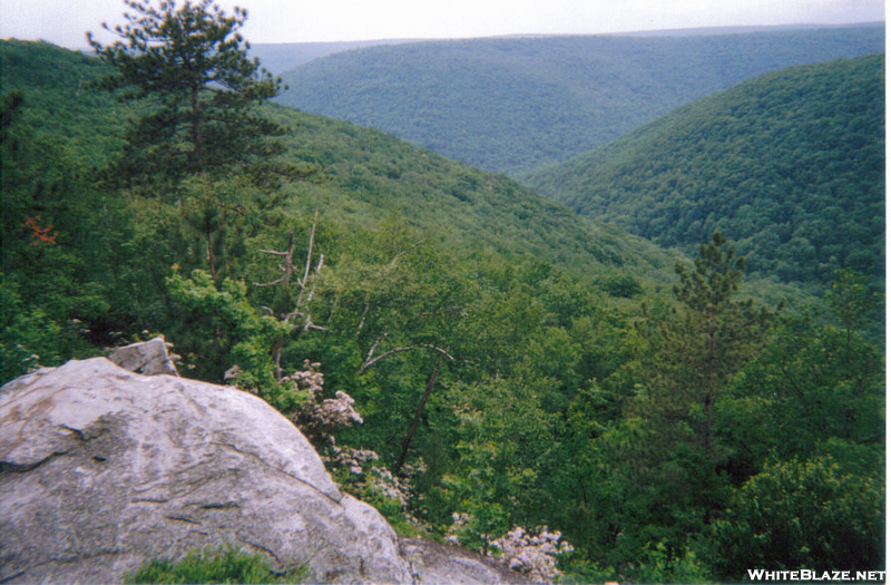 Black Forest Trail