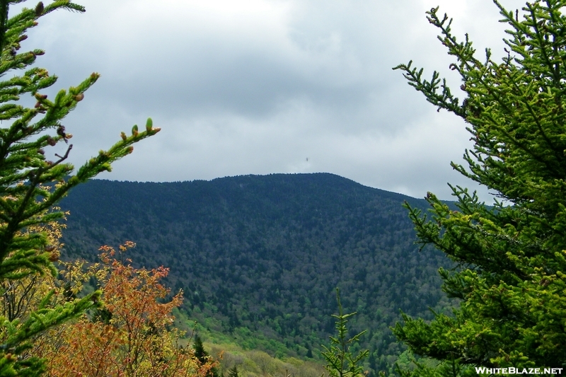 Roan Mountain Seen From Beartown Mtn.