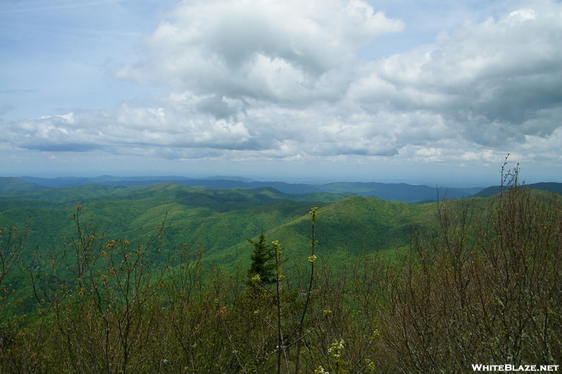 View From Beartown Mountain