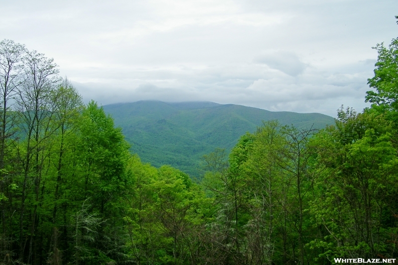 View Of Unaka Mountain Obout A Mile North Of Iron Mtn Gap