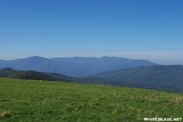 Max Patch