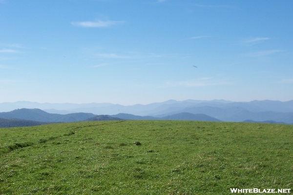 Max Patch