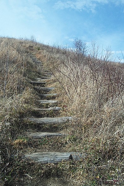 Max Patch Day Hike