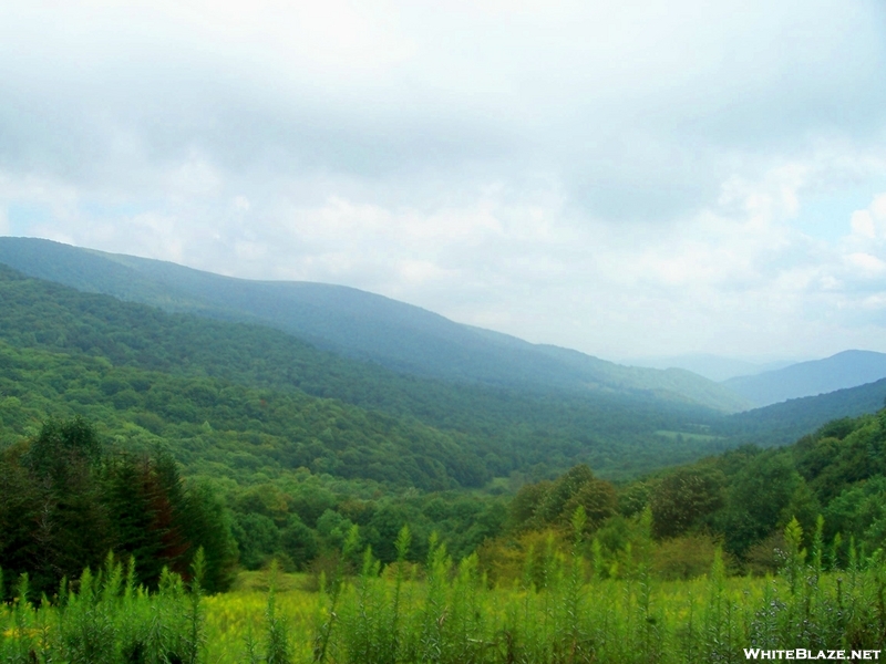 View From Overmountain Shelter