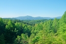 Section Hike From Hwy 19E To Hwy 321 by SmokyMtn Hiker in Views in North Carolina & Tennessee