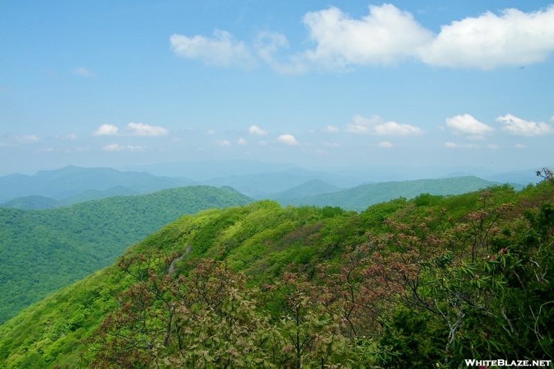 View From Standing Indian Mountain