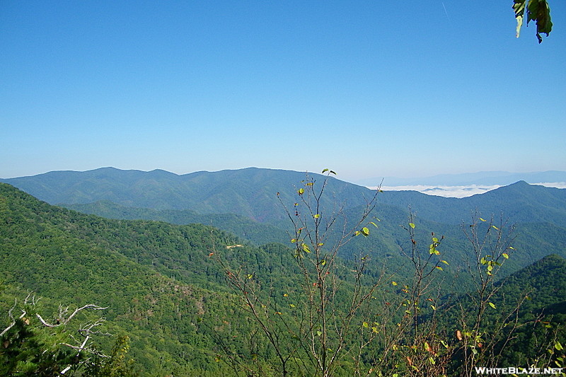 Overlook 1.6 miles north of Wesser Bald Shelter